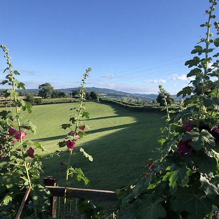 Betula Views Studio Newent Bagian luar foto