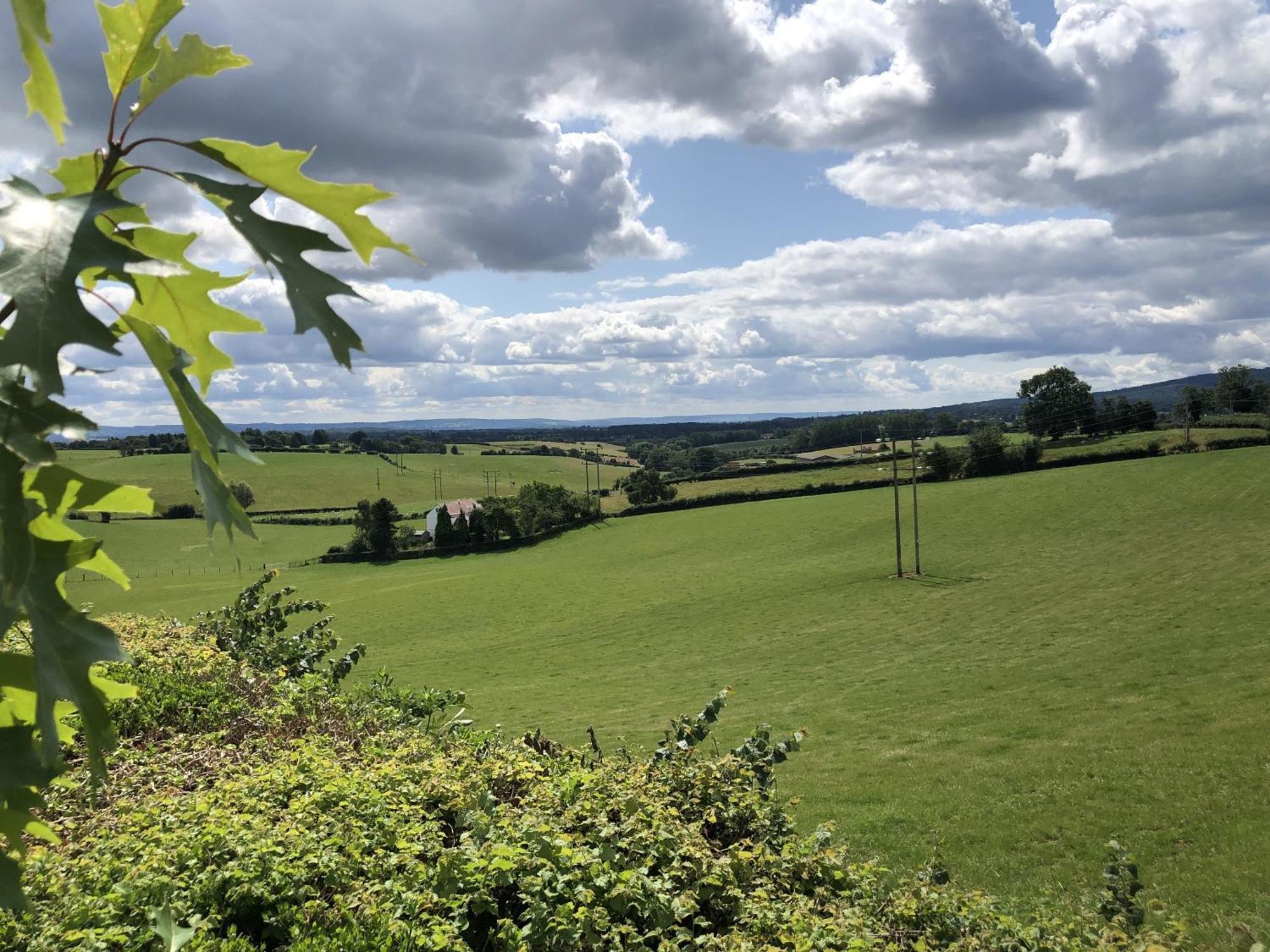 Betula Views Studio Newent Bagian luar foto