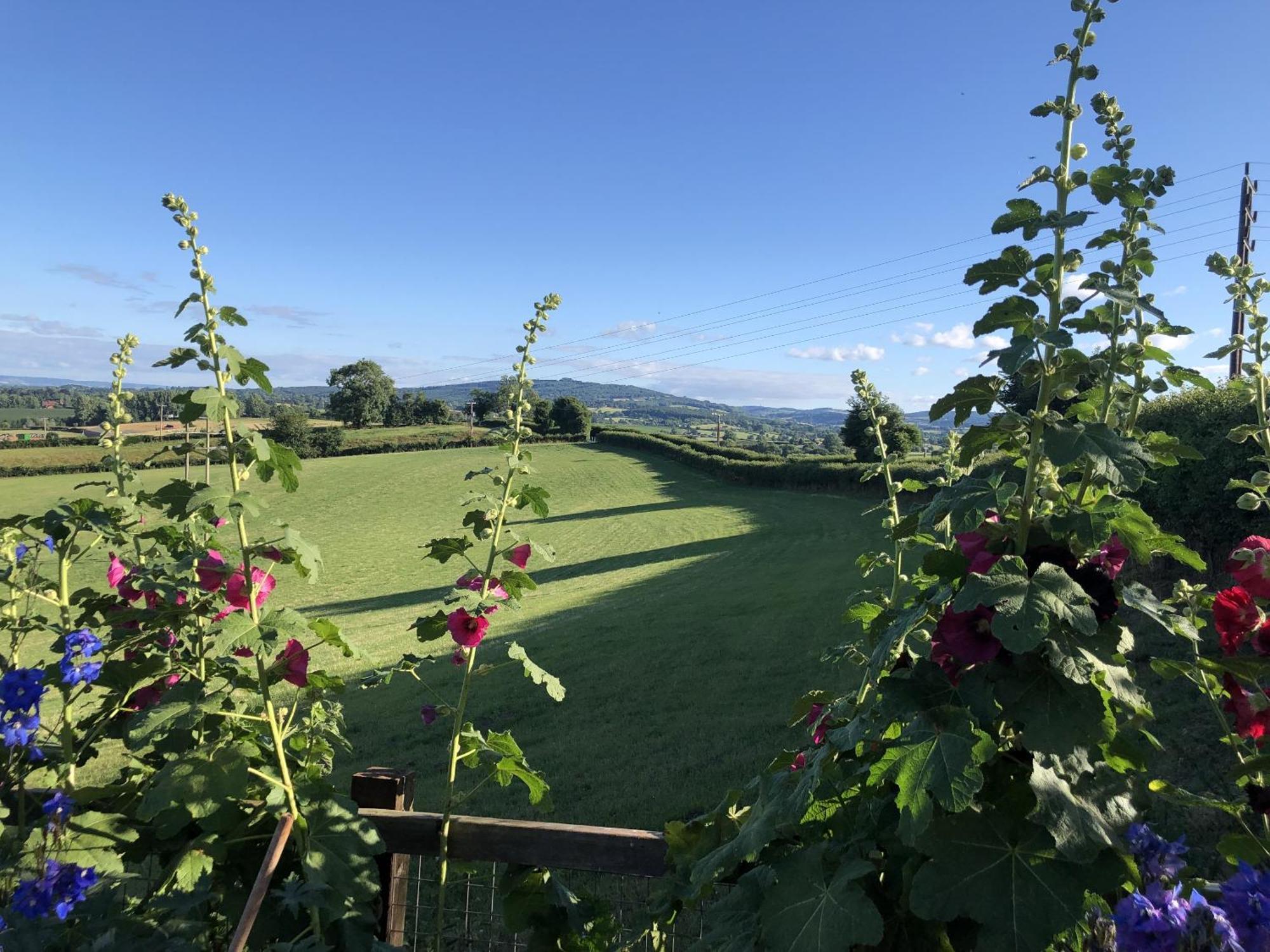 Betula Views Studio Newent Bagian luar foto