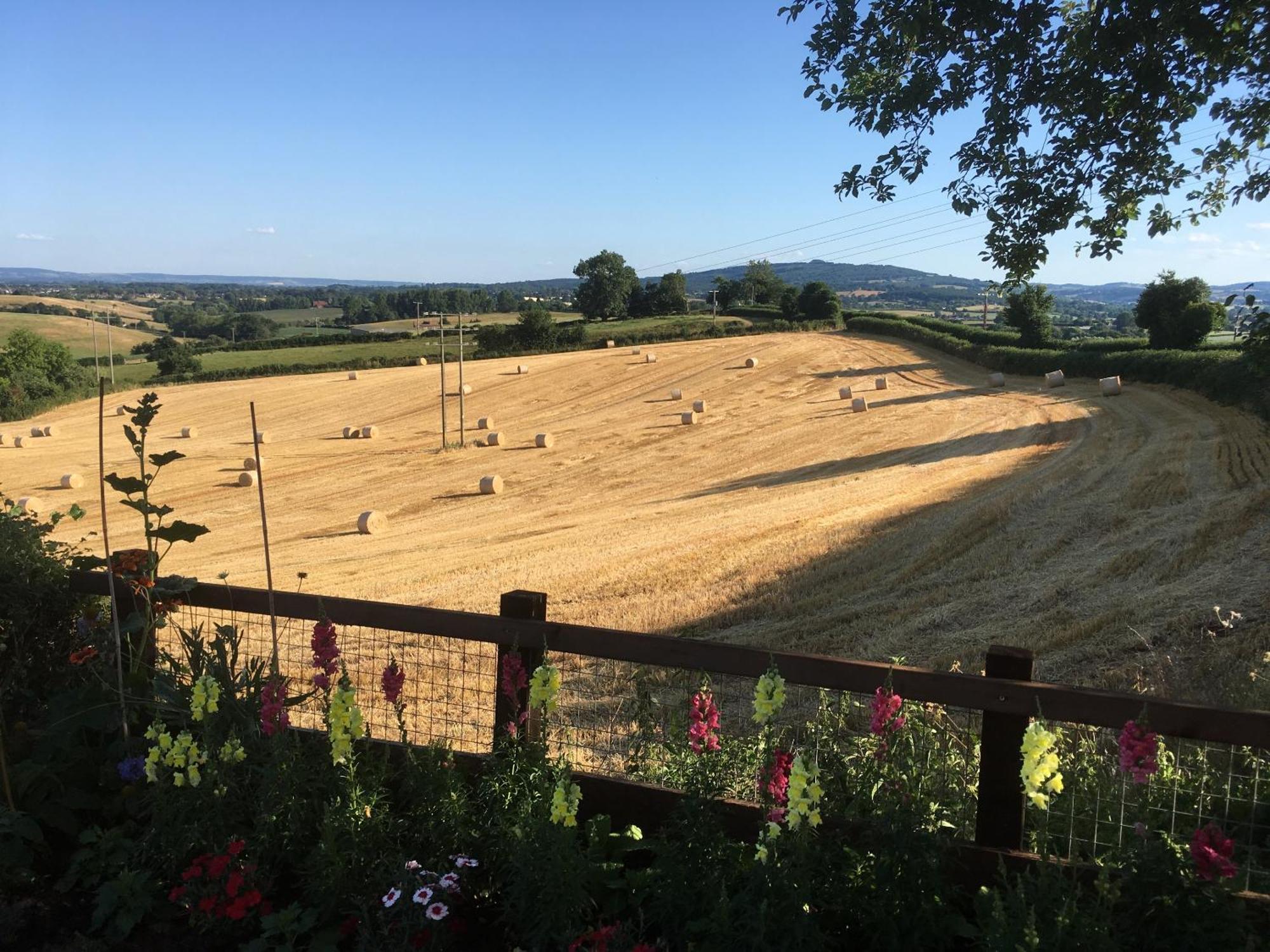 Betula Views Studio Newent Bagian luar foto