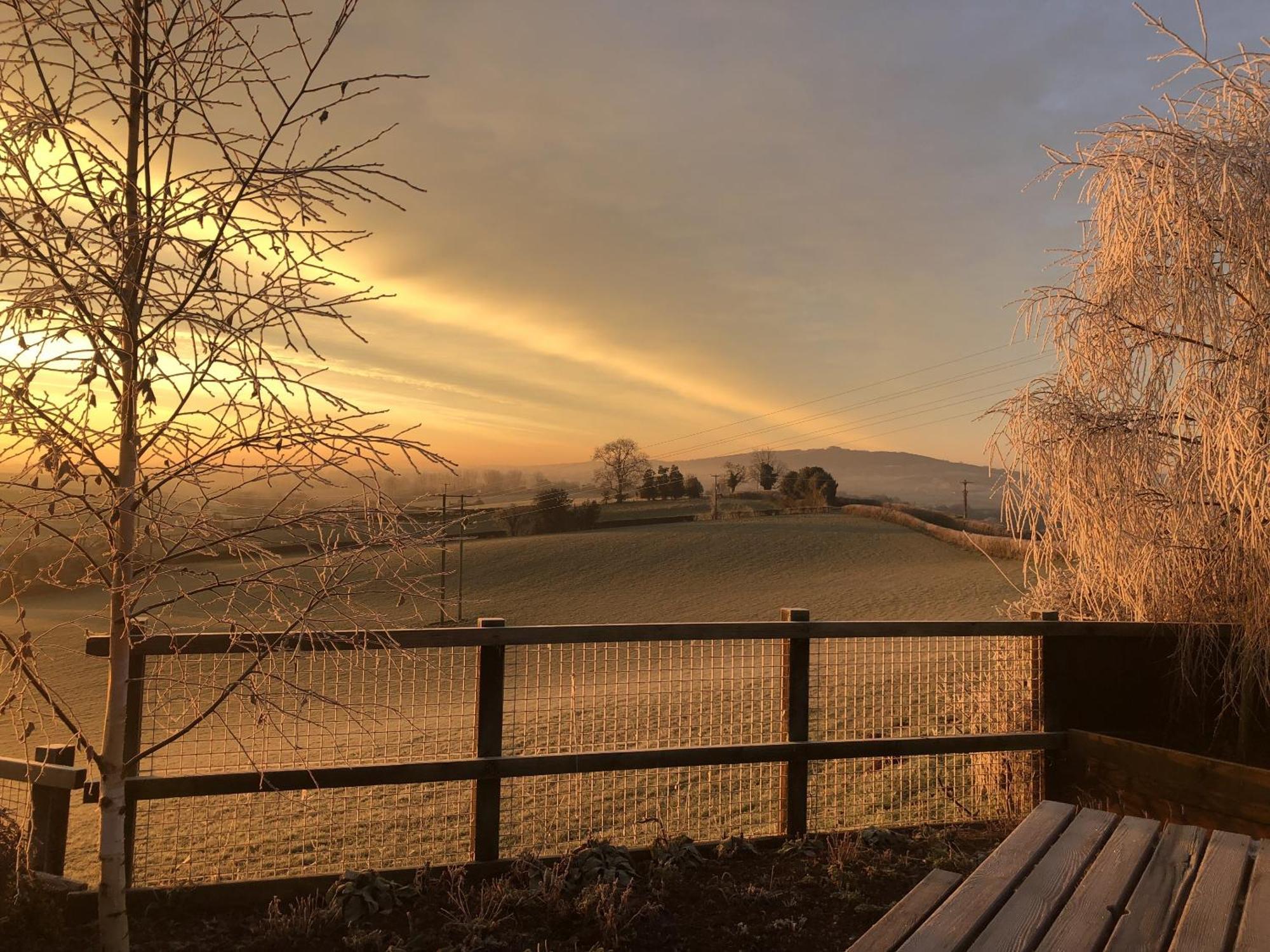 Betula Views Studio Newent Bagian luar foto