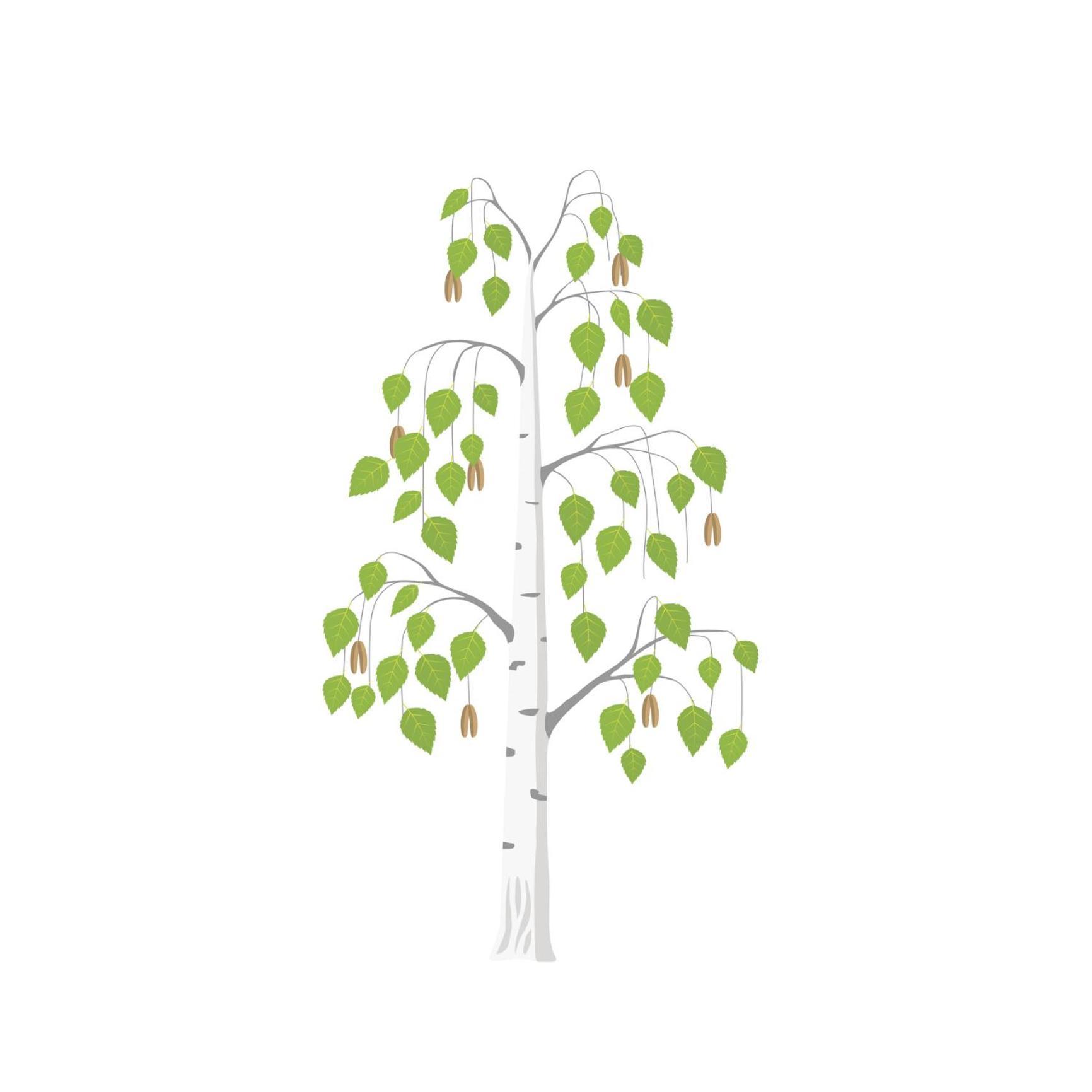 Betula Views Studio Newent Bagian luar foto